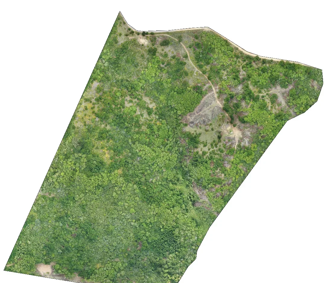 Ortomosaico aéreo de un predio con cobertura de bosque y matorral, caminos y claros visibles